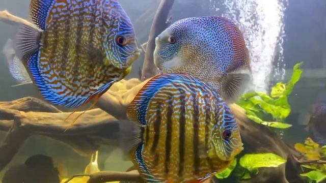 58c057be1b087b3c47d41c91741b3593