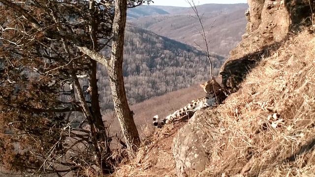 F88eb50b541690b4032e7afe23fbf009