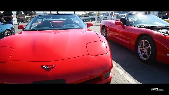 Bildilla Magasin Jun 2021 - 800+ Followers - 400+ Videos - 500.000+ Video Wiews