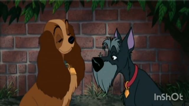 Я скачала для вас две песни про собак.