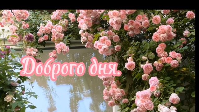Доброго дня.