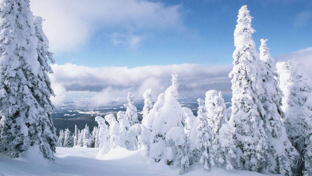 песня-Белая Зима