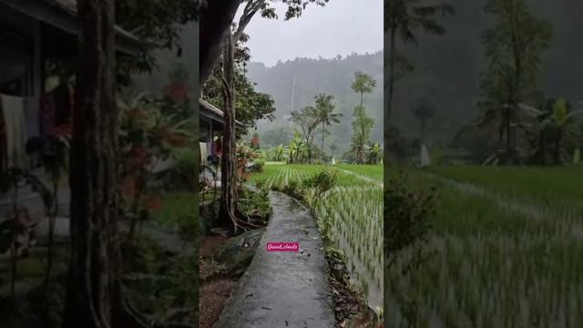 A85c517ff1a107589cf23607a54b6816