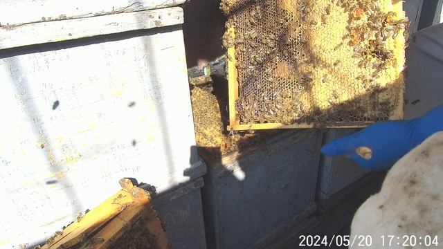 A4c70327ac83895a6fb318451913aa3b