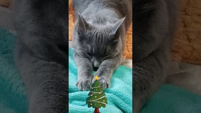 Ёлочка и Зефирка