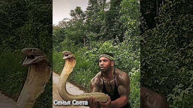 ПОЦЕЛУЙ ЗМЕИ 2025