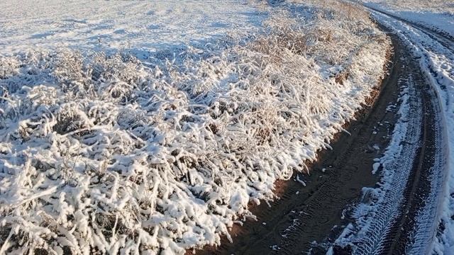09.12.25. Мальчиков изъяли из семьи