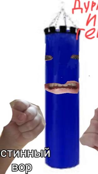 дурак и гений