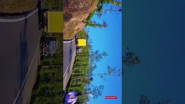 2917294e4c3e1e62971e891ad6e647a8