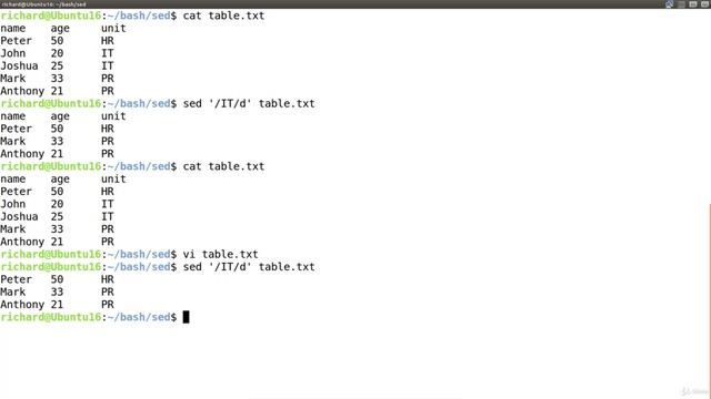 4. D - Delete Command