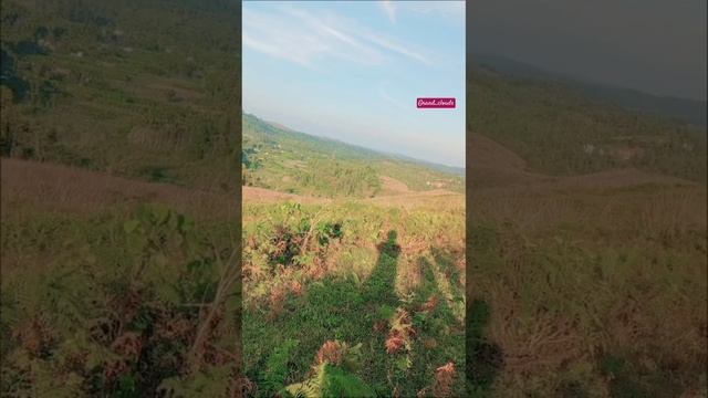 8f1ab3e0541f0496991ac721cebe9e51