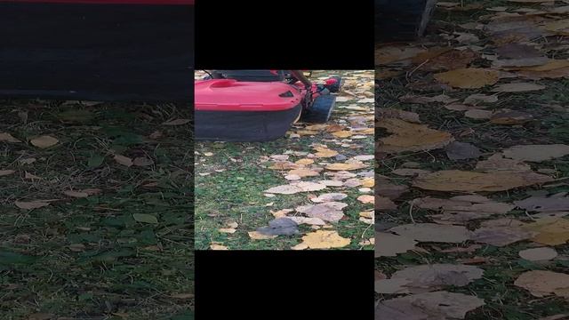 Сбор листвы.