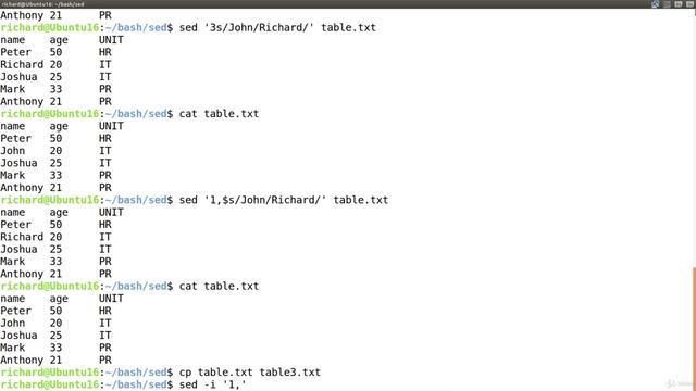 11. S - Substitute Command Showcase