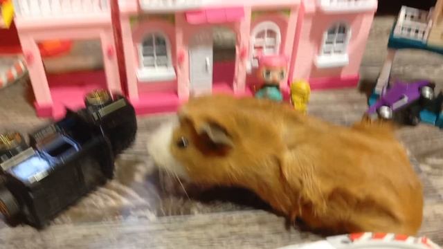 Город Цветов -Нападение грозного МИККИ