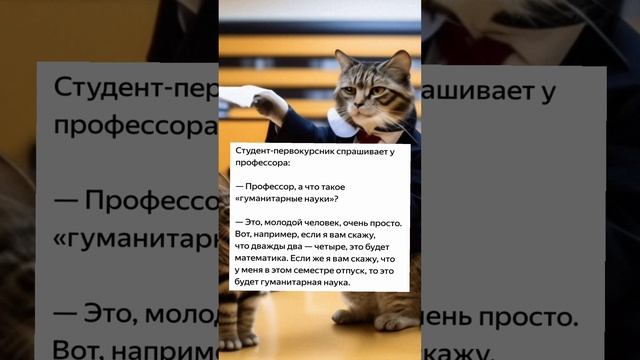 88cb61adaf12de0321b63415c43743c1