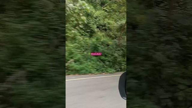 C0be52f339f41f71553489c746f13307