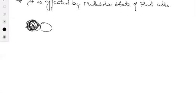 How Do Plant Absorb Water (transport In Plants)