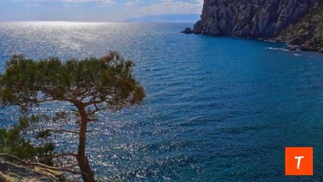 Елена Алина