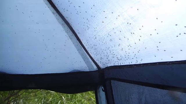 Невероятные События