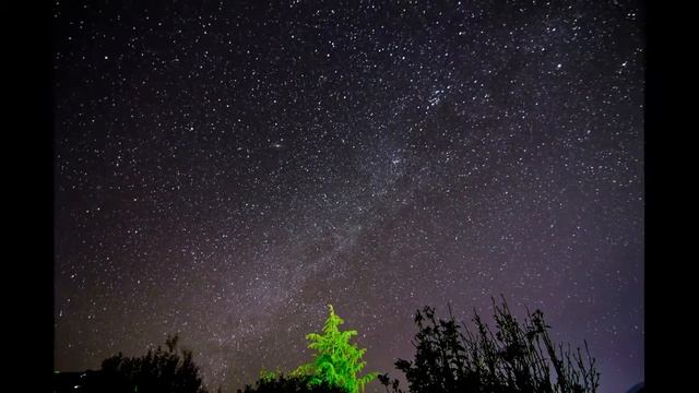 Нели Андреева - Господи - Интерпретация от Зеленият Отбор на България