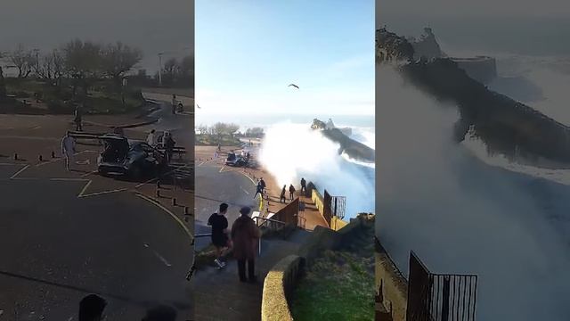 смыло всех