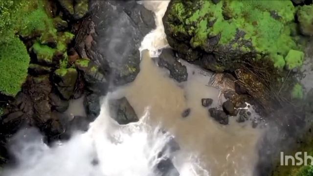 Сура Алиф лям мим