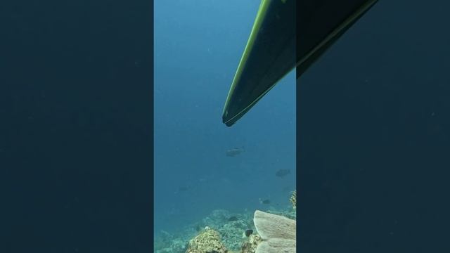 Классическая залежка и выход ТРОФЕЯ!