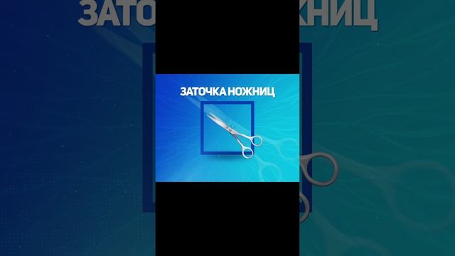 Euro Car Enthusiast Convention