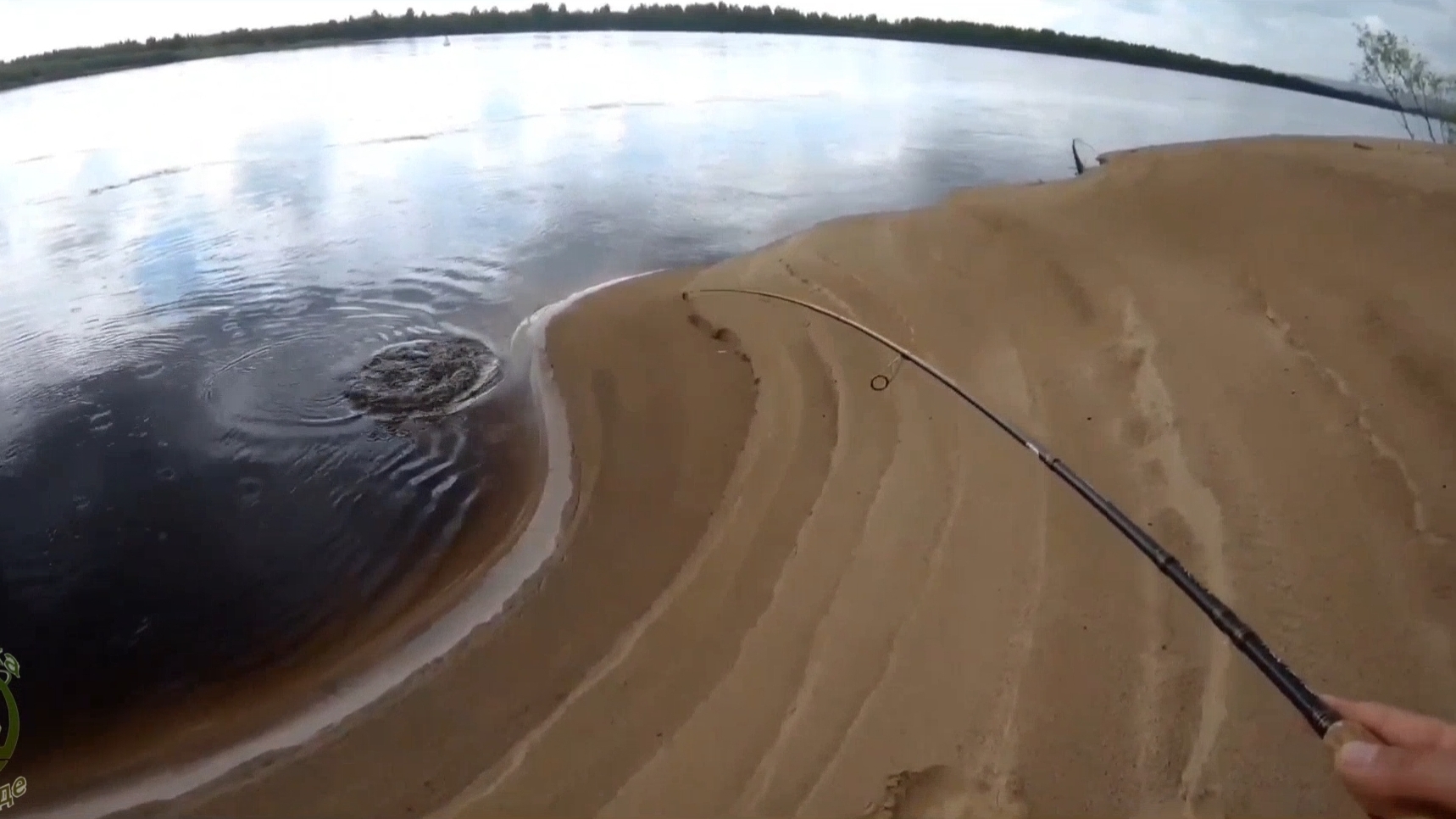 Крупный жерех вдоль берега!🎣