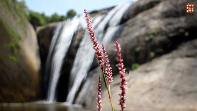 8fc0c9bbf86e95ecba323acbdeba5662