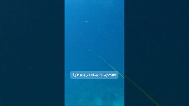 арбалет улетел!