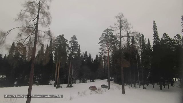 6788a36dac898a5506c58e7cad7213b4