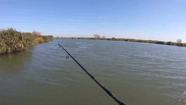 Мега уловистая вращалка Anaconda!