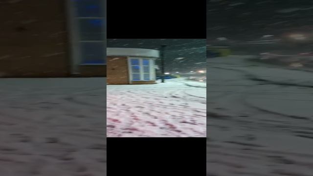 Красота