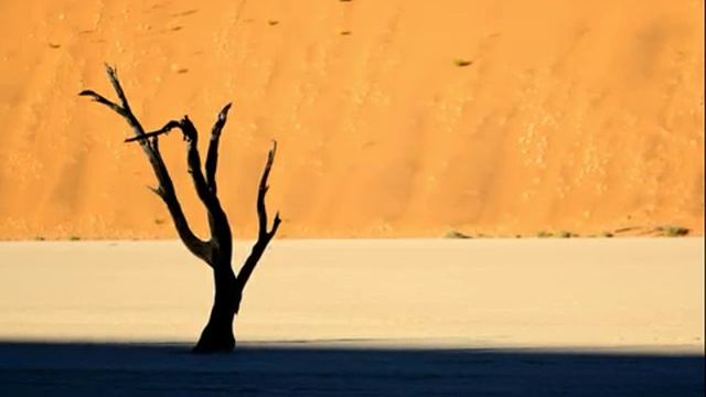 D42928ef51607170b7191e3f71962250