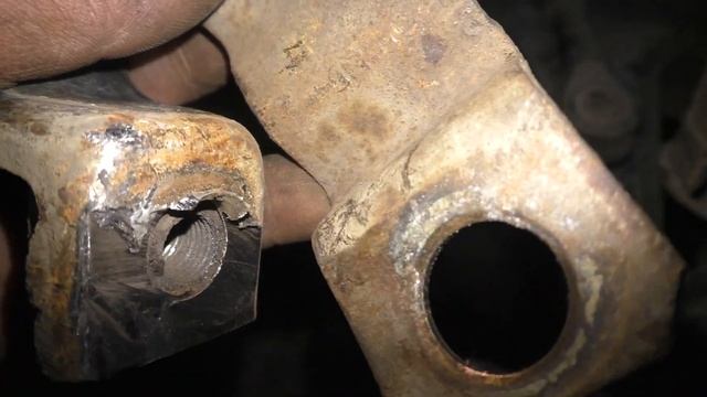 Audi Lifestyle Chronicles