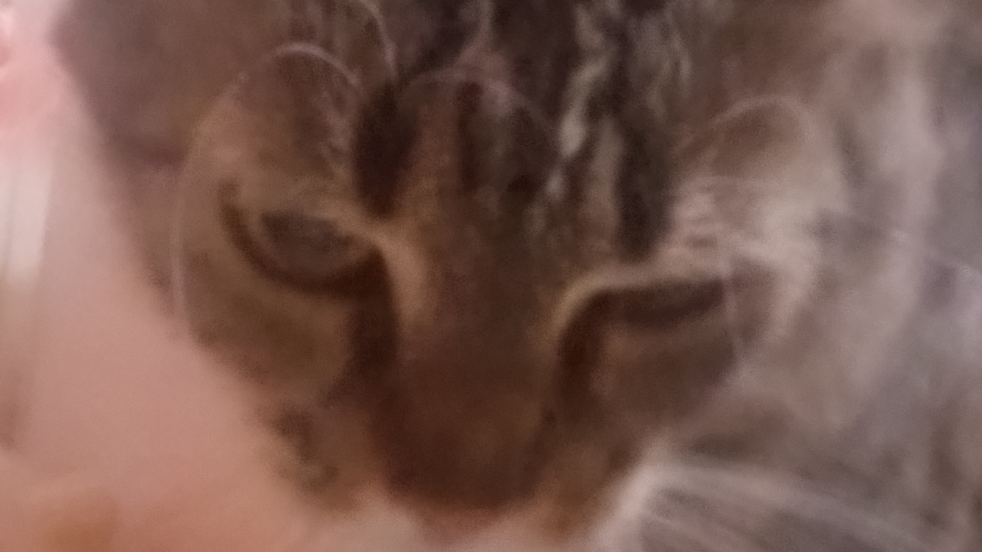 у Росии три пути