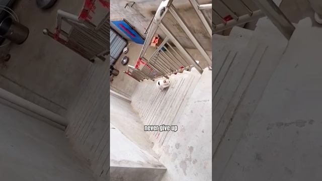 Cd0b1c7032e7579d448ab49a1002b6b2