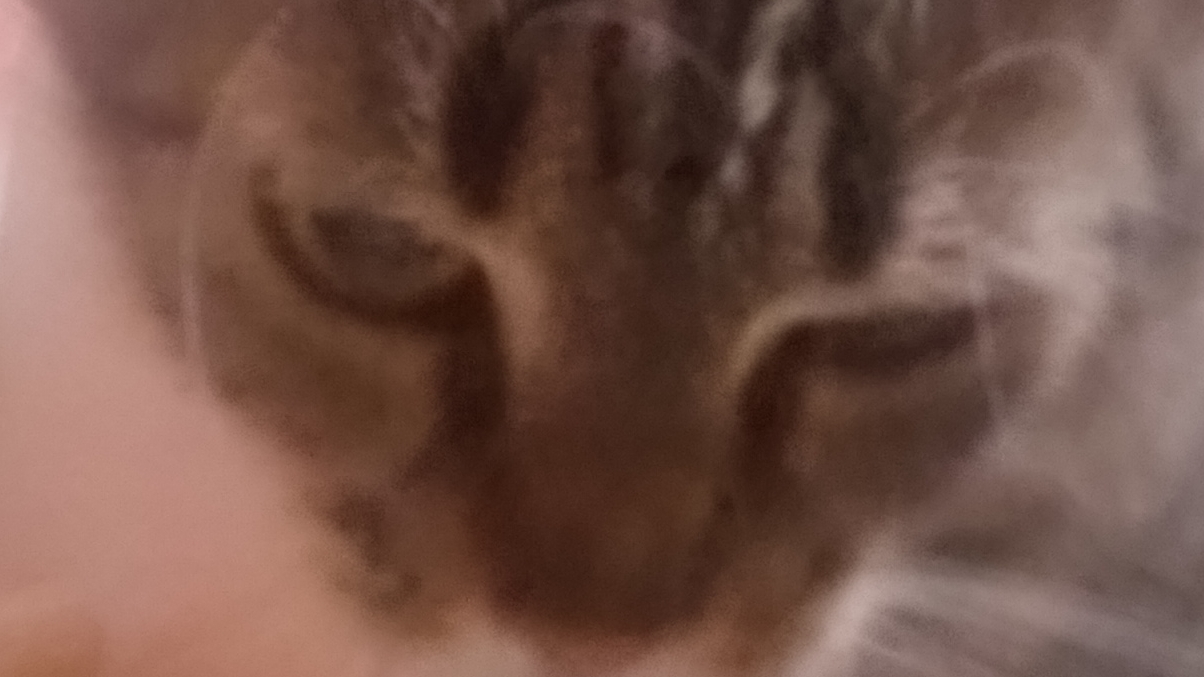 Бесконечное лето