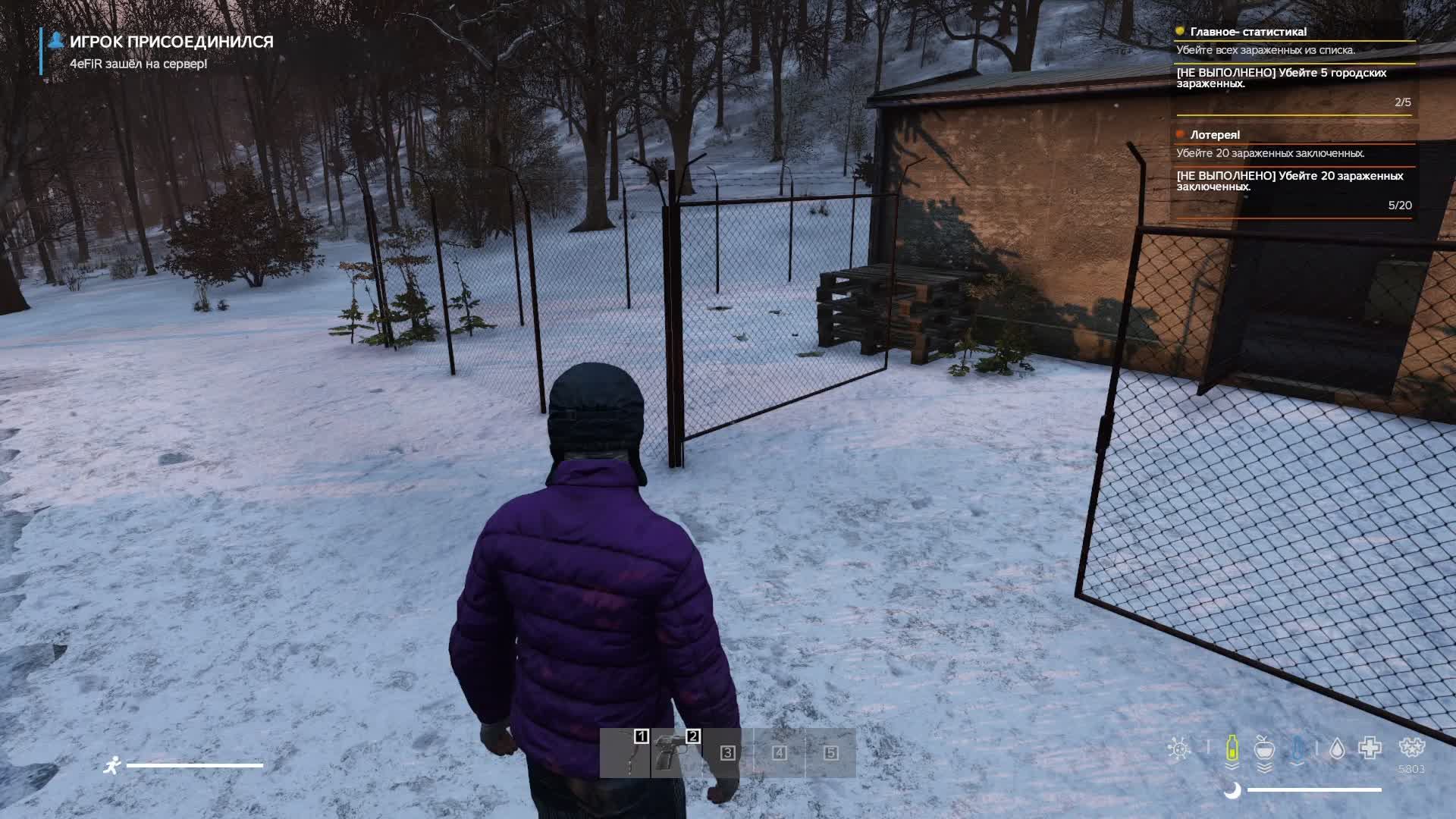 DayZ Amba PVE выживание кепкой