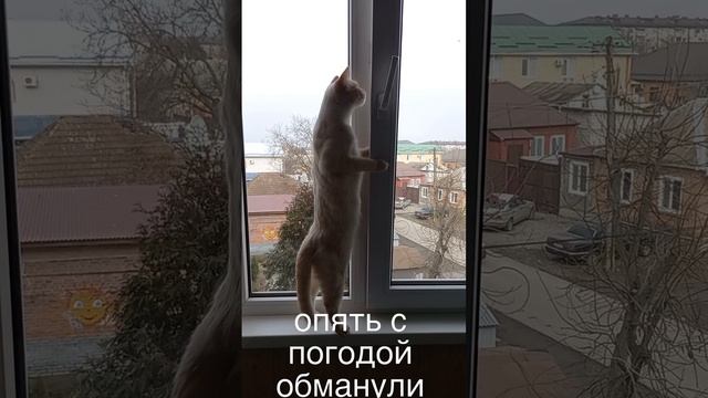 Опять с погодой обманули