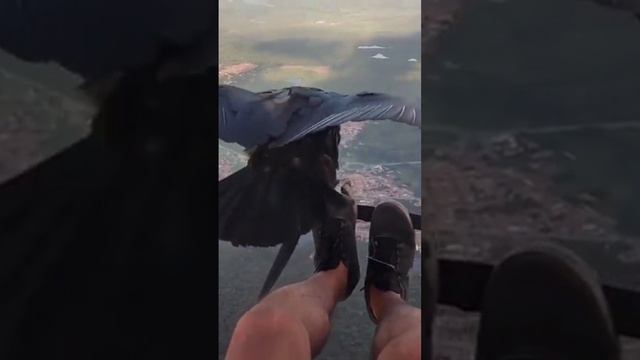 FunnyTimeNowShorts040