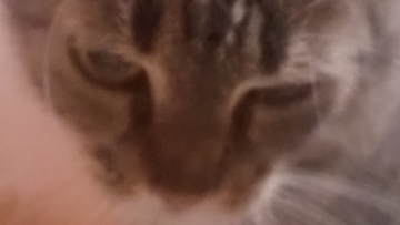 Интердевочка