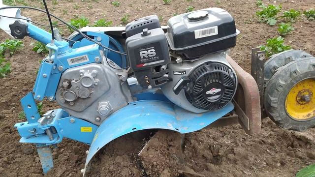 Первое рыхление-окучивание картофеля.