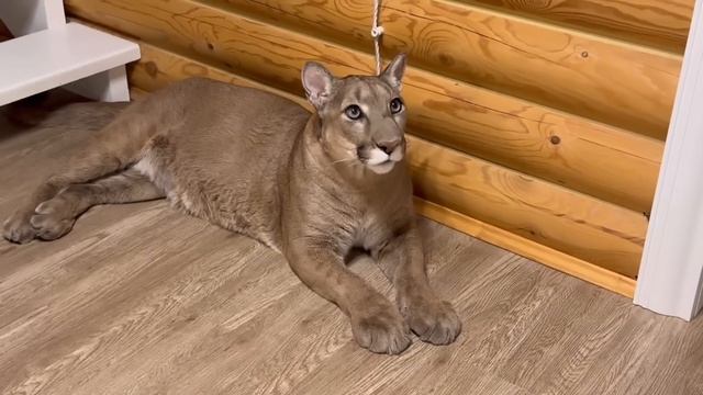 0283dee01984ccf7fde6cd6d9df6132c