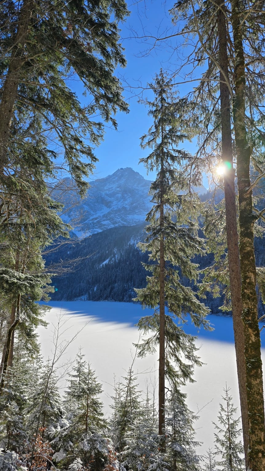 Eibsee  озеро в тироле