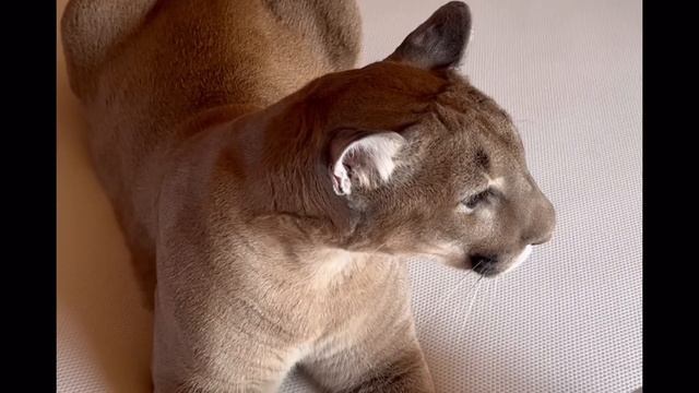 8f14d46e7933d5d85ad32ec14b3a6314