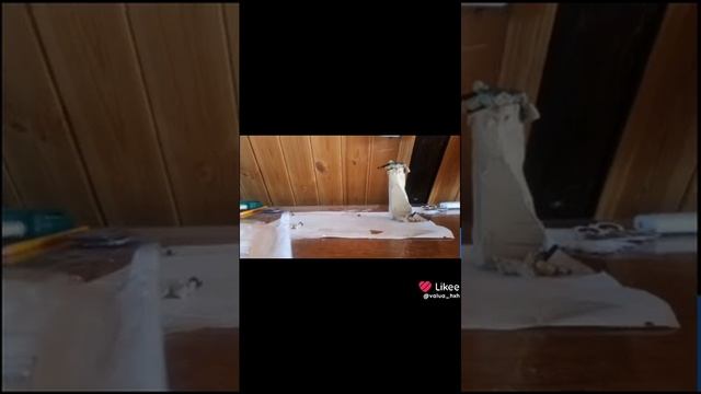 вот вам анимация