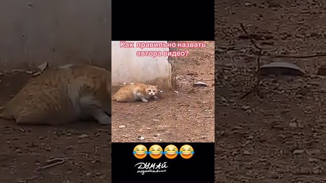 137313001dc04268636abd1089731a84