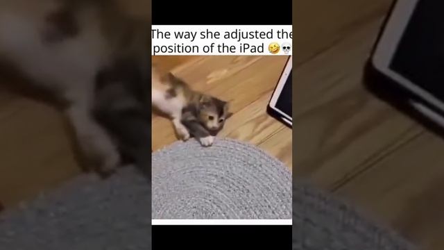 FunnyTimeNowShorts042